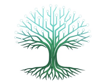Synapse Grove AI
